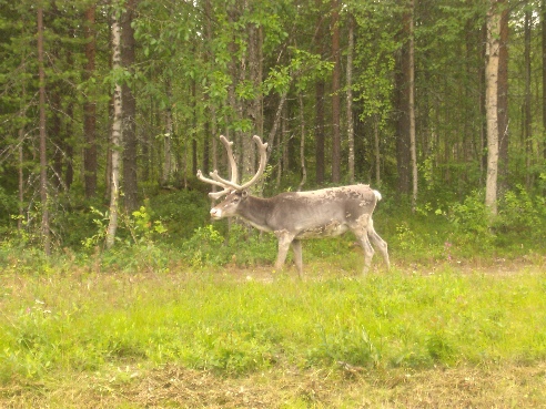 Finnland 2006